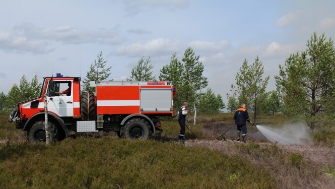Beidzas meža ugunsnedrošais laikposms, šogad bijis mazāk meža ugunsgrēku nekā pērn