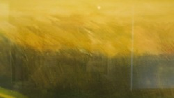 Valkas novadpētniecības muzeja krājuma izstāde “Latvijas ainavas”