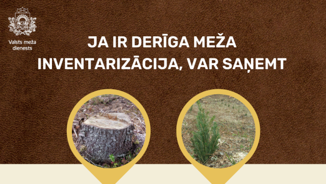 Meža īpašnieka ieguvumi no derīgas inventarizācijas