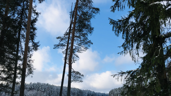 Atcelts publisko ūdenstilpju nedrošā ledus laika periods Valkas novadā
