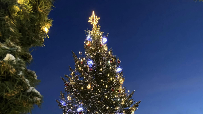 Fotokonkurss – uzņem atraktīvu bildi ar Valgas Ziemassvētku eglīti!