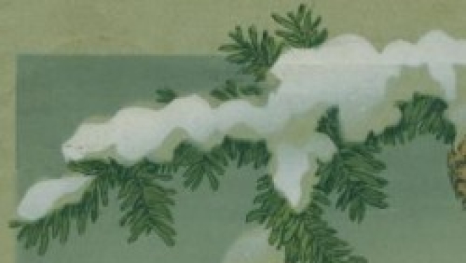 Valkas novadpētniecības muzeja darba laika izmaiņas