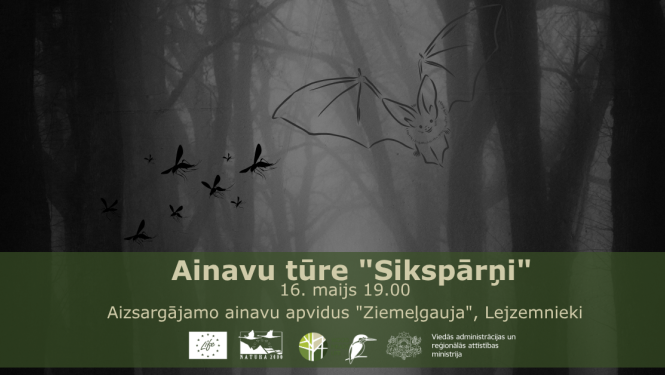 Sikspārnis