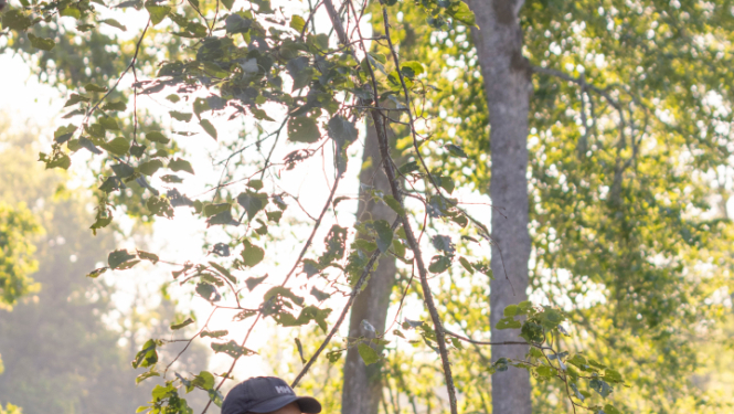 titulam_Reinis Veinbergs