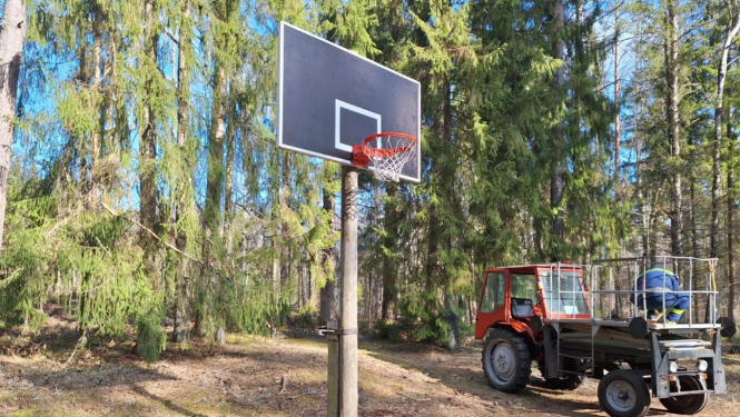 Basketbola grozs mežā