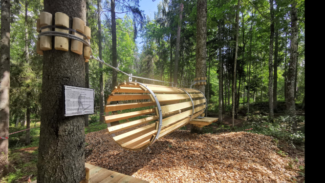 Koka elements Lustiņdruvā