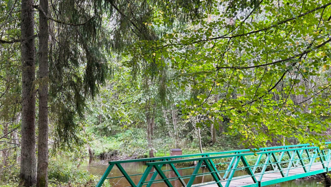 Tiltiņš Valkas Mežaparkā