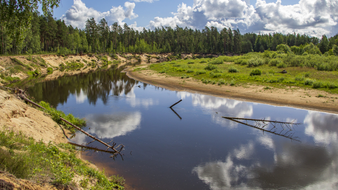 Upe ar meža un savvaļas pļavas apvidu