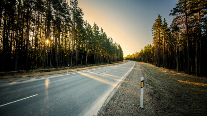 Apledojis ceļš gar mežu