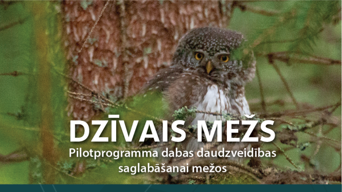 Veidos jaunus sadarbības modeļus dabas vērtību saglabāšanai privātajos mežos