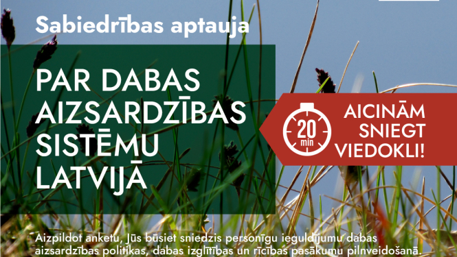 Savvaļas pļava tuvplānā