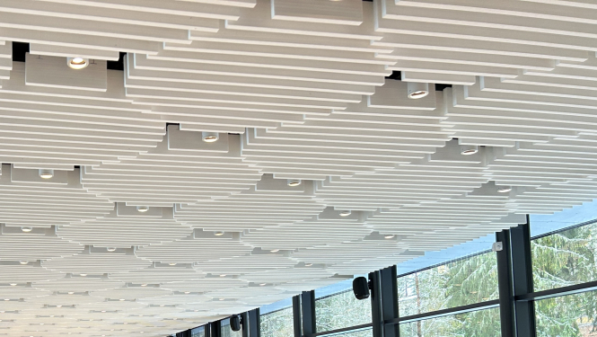 Vidzemes plānošanas reģions uzsācis plašu diskusiju par deinstitucionalizācijas procesa ilgtspēju pašvaldībās