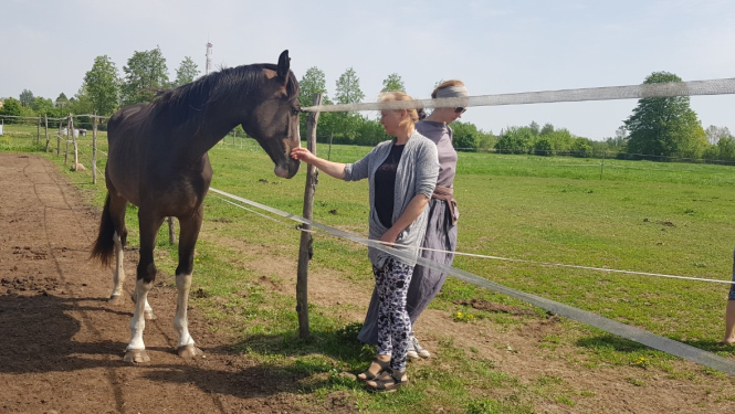 Tūrisma pakalpojuma sniedzēju vizīte Engures un Kuldīgas novados