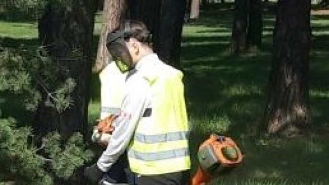 Karstajā laikā sētnieki darbu uzsāks agrāk