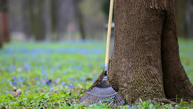 Lielā Talka šogad notiks 22. aprīlī - Starptautiskajā Zemes dienā