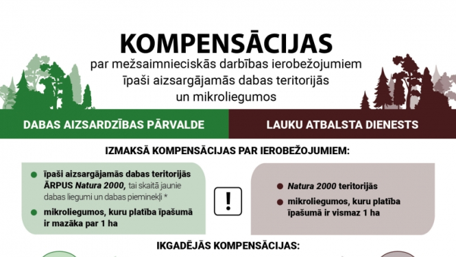 Zaļa un brūna inforgrafika par komensācijām