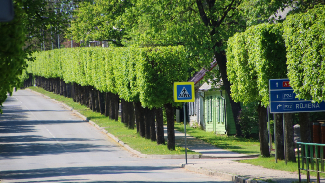 Iela ar saformētām liepām