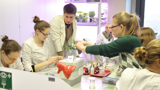 Studenti pie darbstacijas bioloģijas labratorijā 