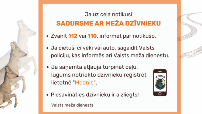 Baneris ar skrejošu stirnu un aprakstītiem rīcības soļiem