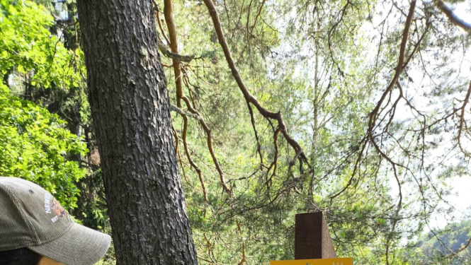 Cilvēks pie infomatīva stenda