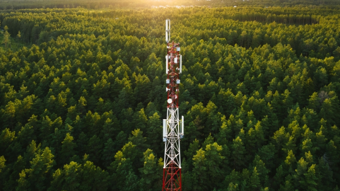 Sarkanbalts radio tornis meža vidū