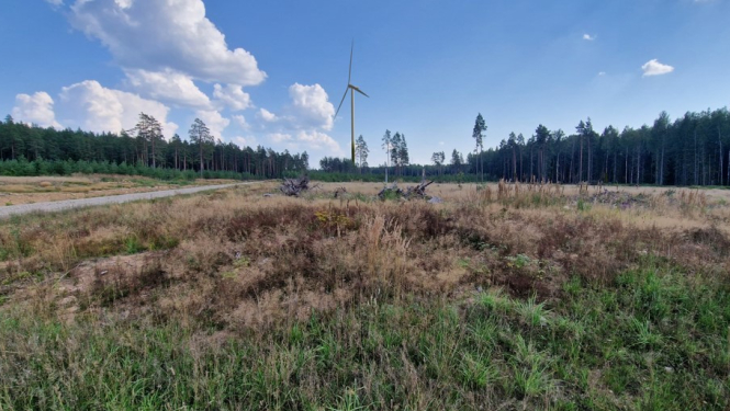 Ainavas ietekmes piemērs 0,6 km attālumā ar 250 m augstām turbīnām