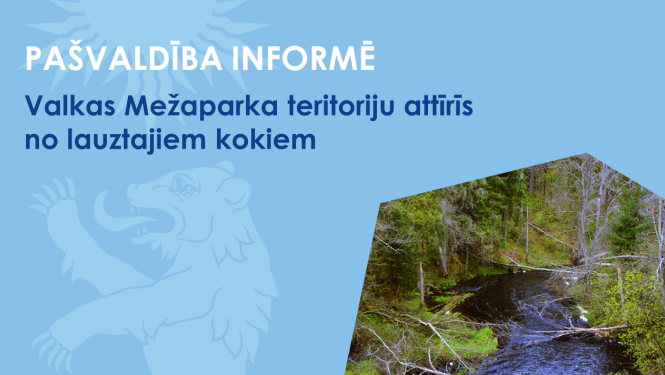 Zils baneris ar meža kokiem un upi