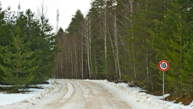 Grants ceļš ar 10 tonnu svara ierobežojuma zīmi mežā