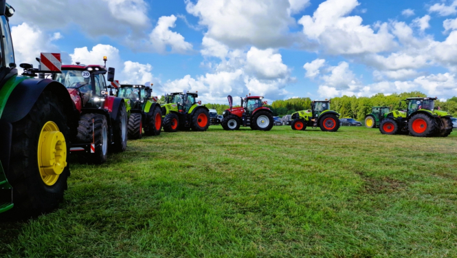 Septiņi dažādas krāsas traktori zaļā pļavā