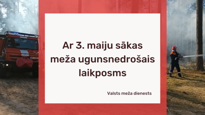 Ugunsdzēsēji dzēš ugunsnelaimi mežā