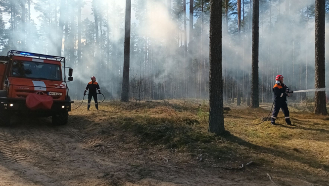 Ugunsdzēsēji un dienesta auto mežā pēc ugunskrēka dzēšanas