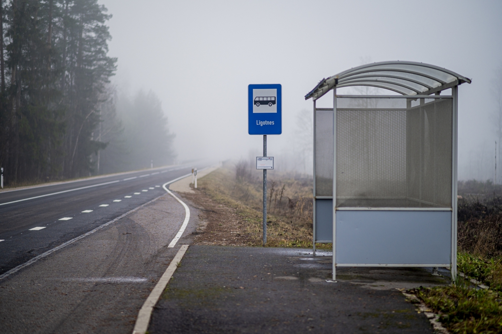 Atjaunotā reģionālā autoceļa Valka – Rūjiena (P22) seguma atklāšana