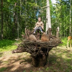 Lustiņdruvā atklāj jaunus vides objektus