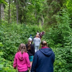 Lustiņdruvā atklāj jaunus vides objektus