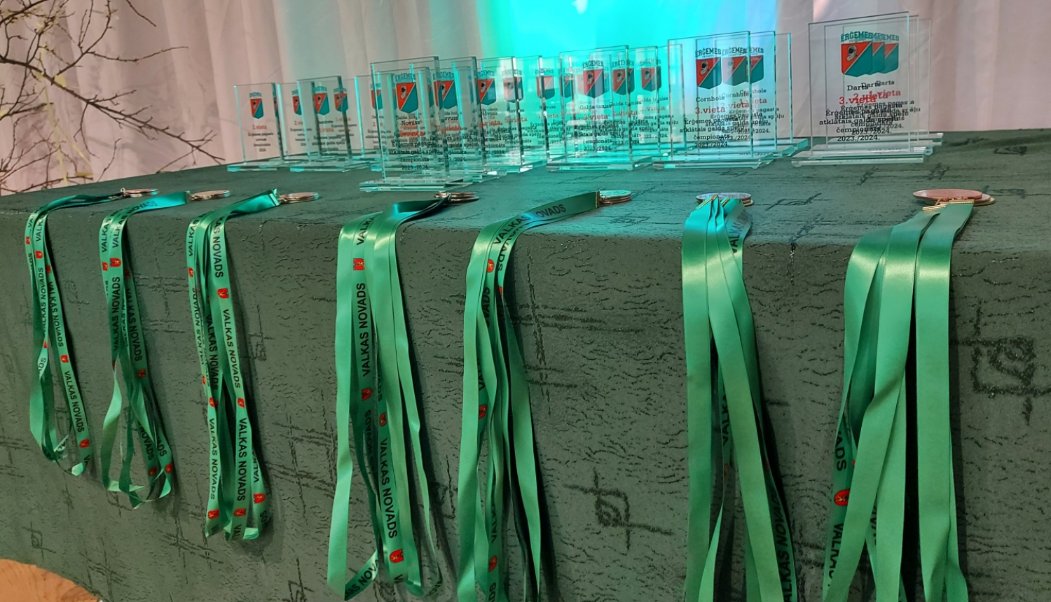 ērģemes čempionāta medaļas