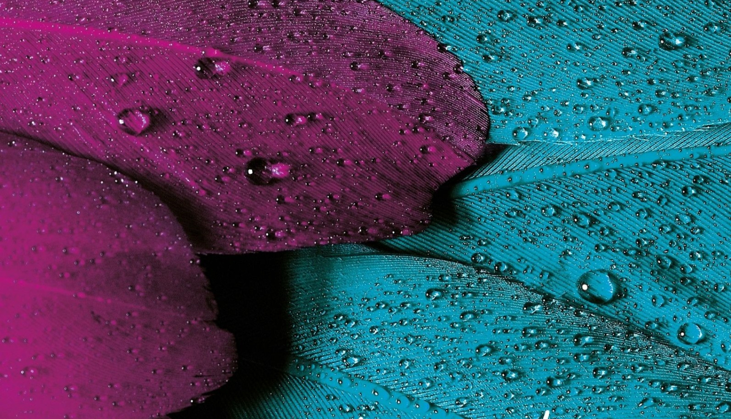 Valkas bibliotēkā būs skatāma aprīļa jubilāriem – novada literātiem veltīta izstāde