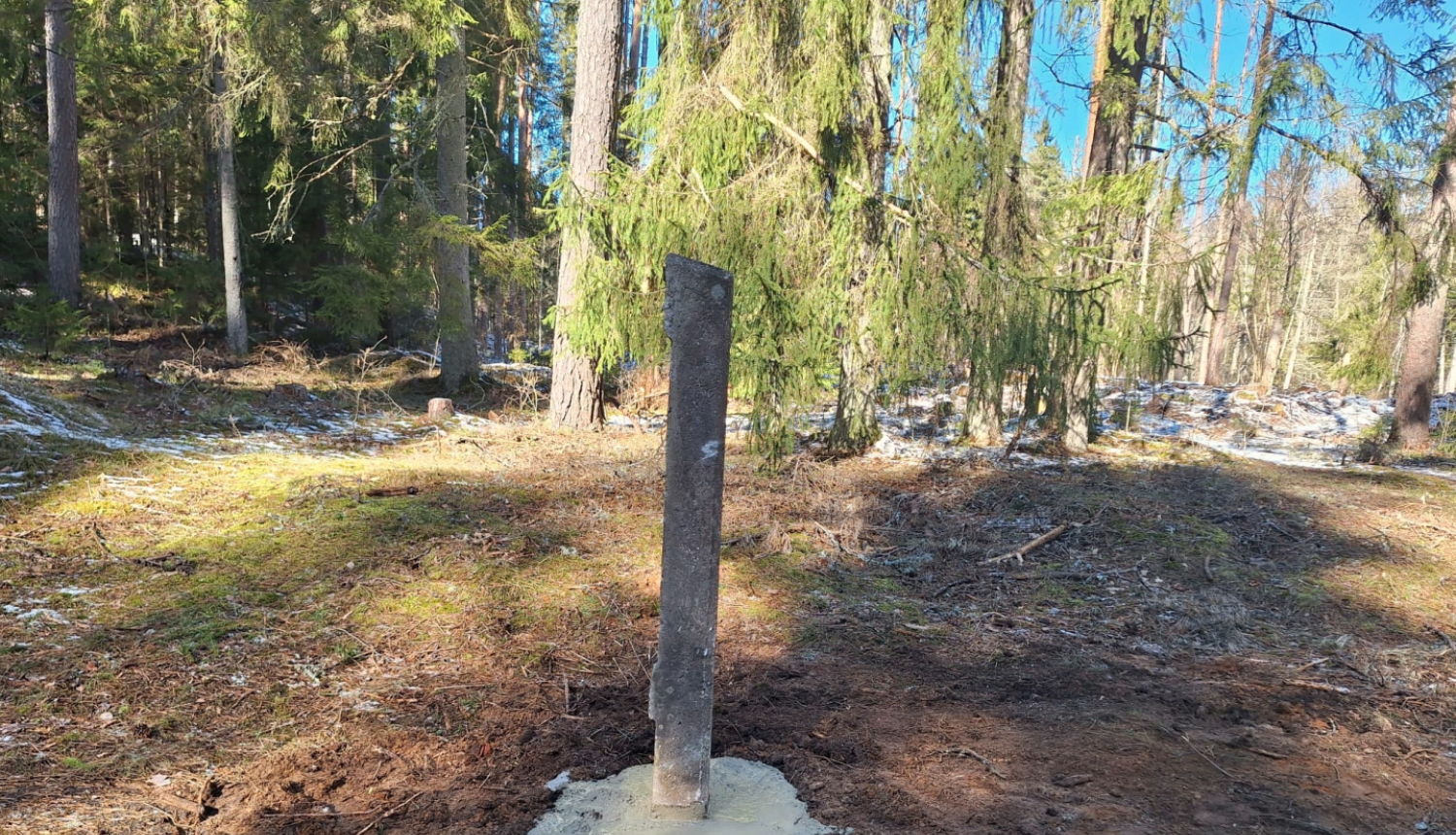 Iebetonēts stabs meža zemē
