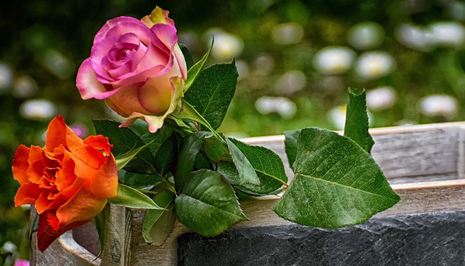 Valkas novada pašvaldības komunālās nozares darbiniekiem velta pateicības balli un pasniedz pateicības rakstus