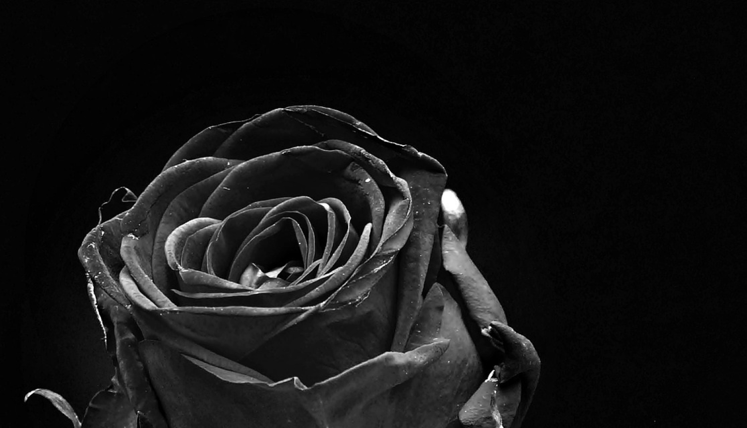 Mūžībā aizgājis "Valkas Novada Vēstis" maketētājs Arnis Ozoliņš