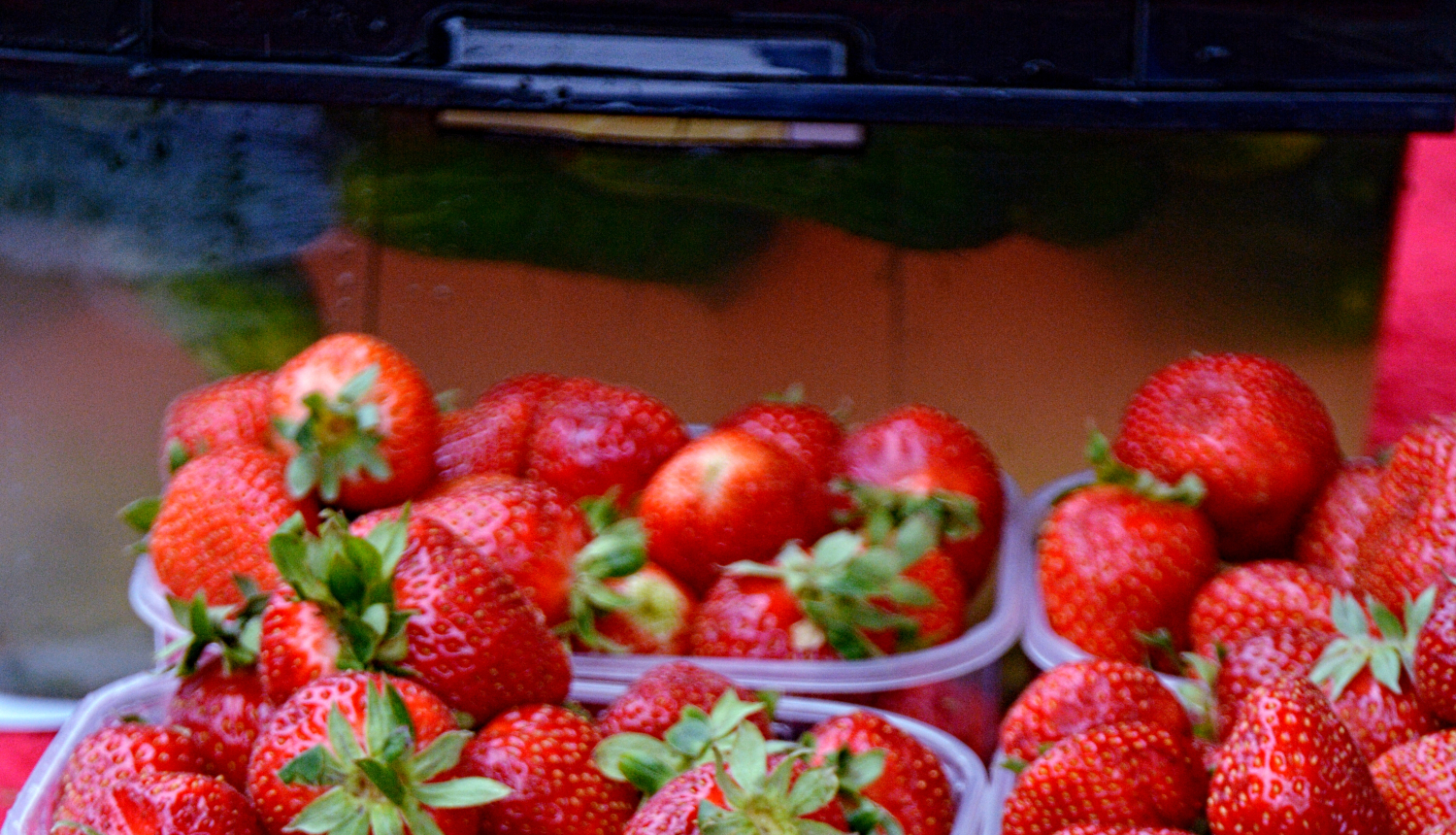 Pieteikšanās dalībai Robežtirgū tiks atvērta 14. martā