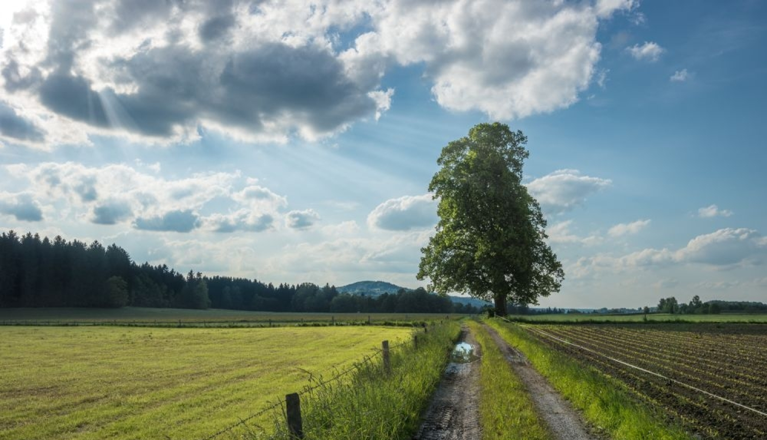 No 12.aprīļa var pieteikties platību maksājumiem