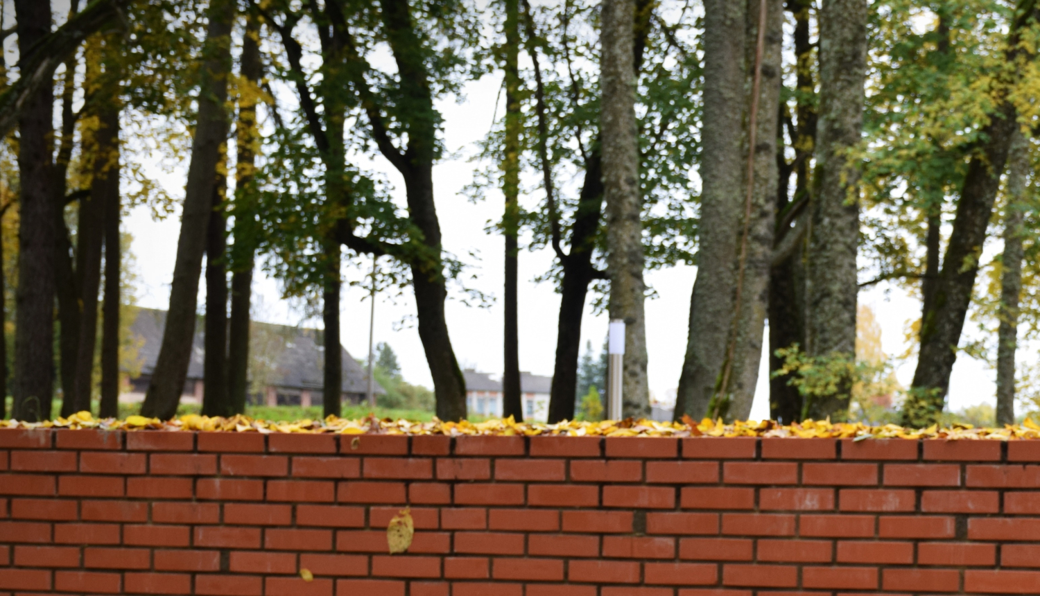 Tiltiņš Lugažu muižas parkā Valkas pagastā