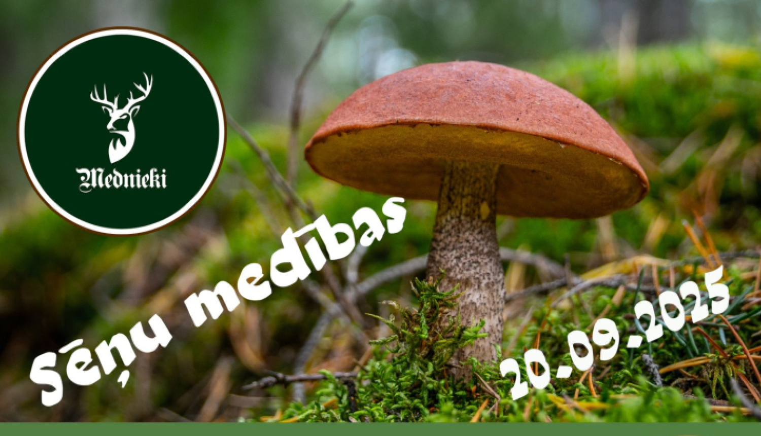 Sēņu medības