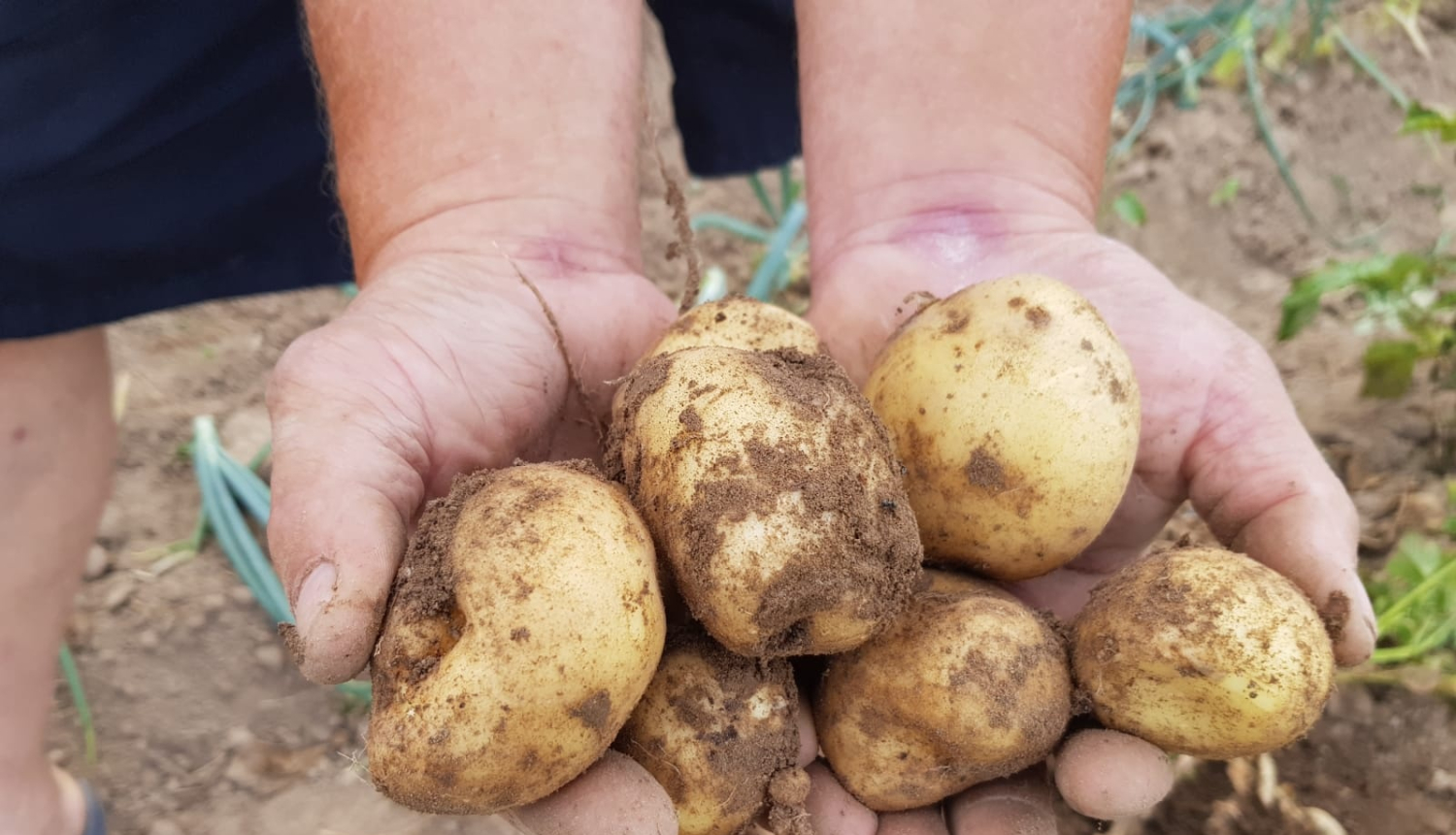 Vidzemes NVO saņem atbalstu grūtībās nonākušo cilvēku atbalstam