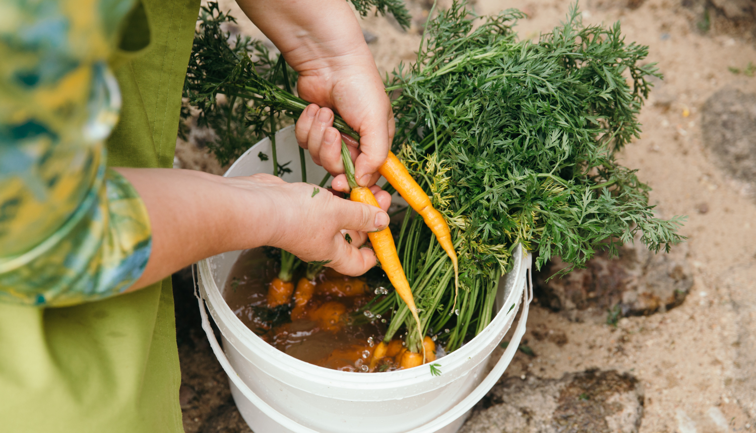 Identificēti šķēršļi vietējo ražotāju dalībai publiskajos pārtikas produktu iepirkumos