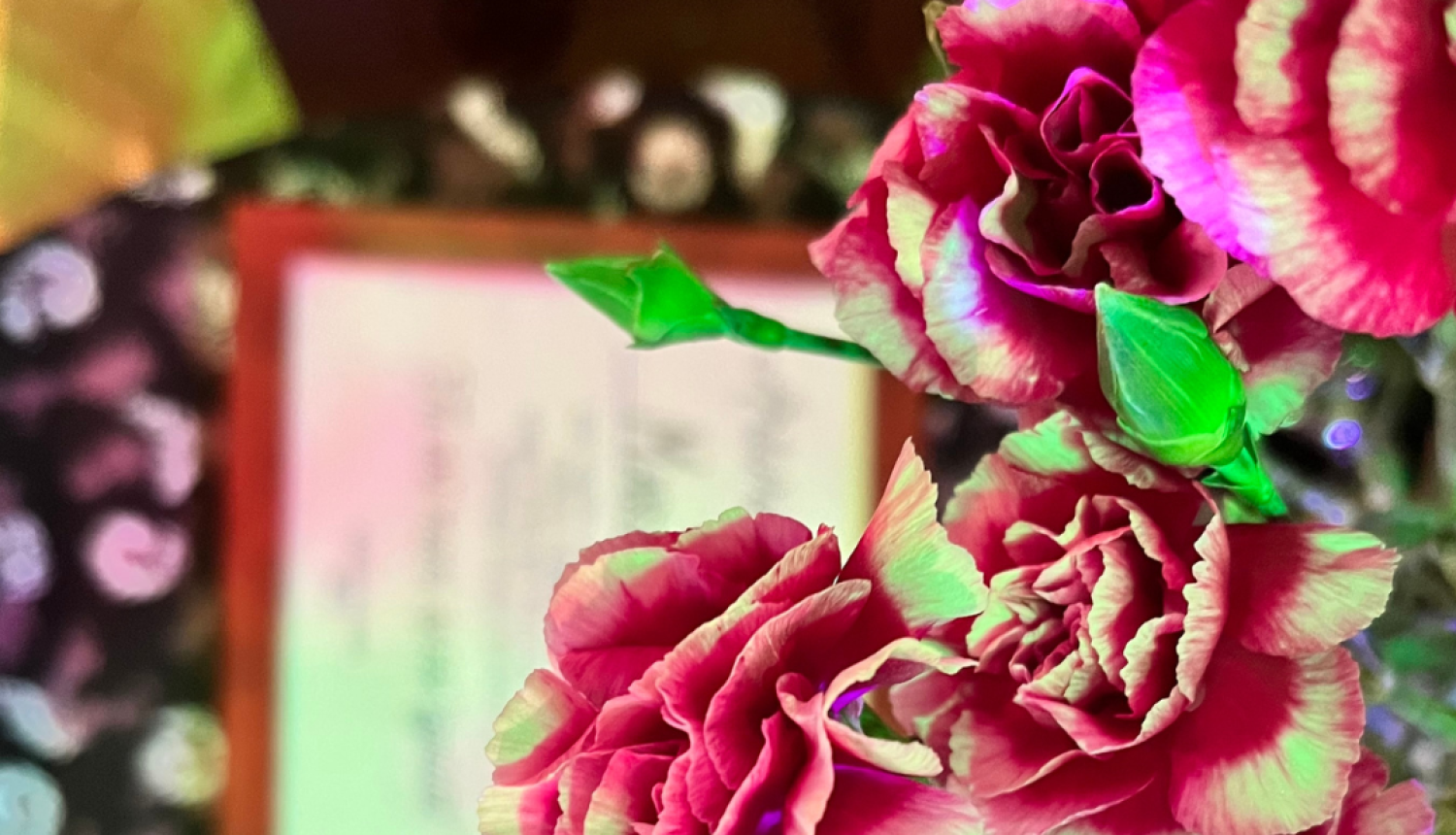 Noskaidroti dzejas autoru-iesācēju konkursa “Tu arī mani spēsi izpildīt” uzvarētāji