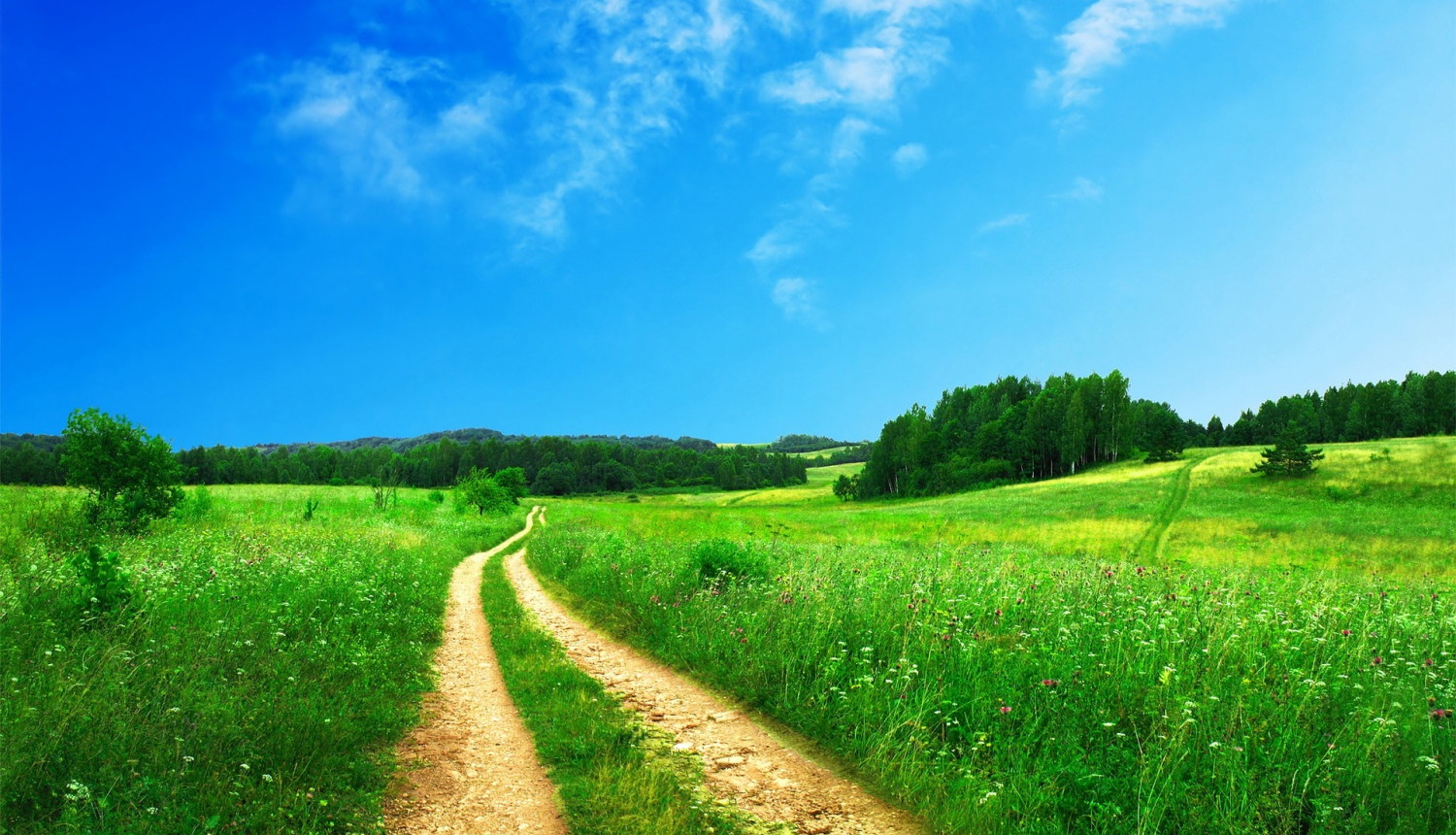 Platību maksājumu Provizorisko iesniegumu var aizpildīt no 5. novembra