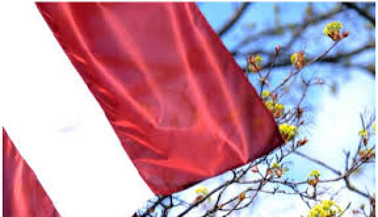 30. aprīlī Latvijas Republikas Neatkarības atjaunošanas dienas Svētku balle Valkā