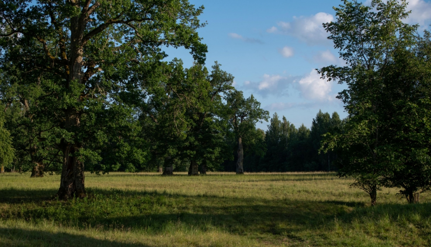 Valkas novada pašvaldība īsteno projektu “WoodMeadowLIFE”