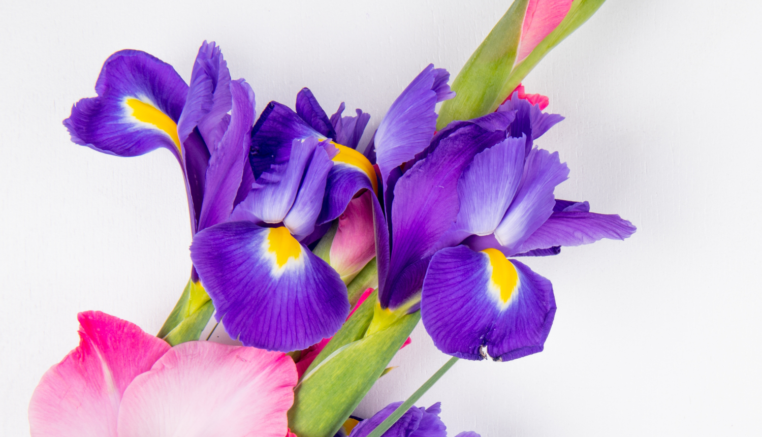 Zinību diena Valkā 1.septembris AKTUALIZĒTS